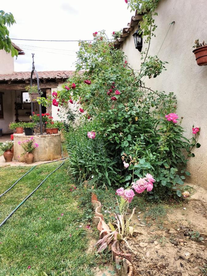 Albergue Don Camino Villalcazar de Sirga Экстерьер фото